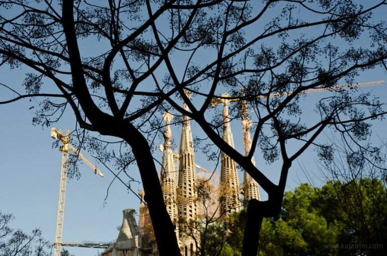 Gaudí’s Sagrada Familia behind the silhouette of a nearby tree