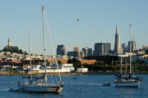 San Francisco: sailboats anchoring in Aquatic Park. In the background Coit Tower and the Transamerica Pyramid.