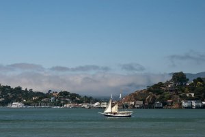 A sailboat glides past Tiburon, California